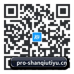 苹果版 iOS 二维码